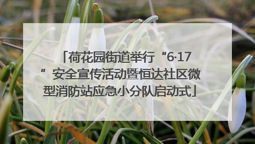 荷花园街道举行“6·17”安全宣传活动暨恒达社区微型消防站应急小分队启动式