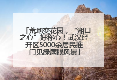 荒地变花园，“湘口之心”好称心！武汉经开区5000余居民推门见绿满眼风景