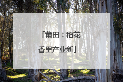 莆田：稻花香里产业新
