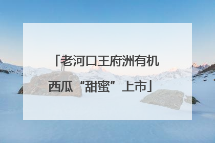 老河口王府洲有机西瓜“甜蜜”上市