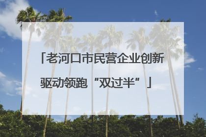 老河口市民营企业创新驱动领跑“双过半”