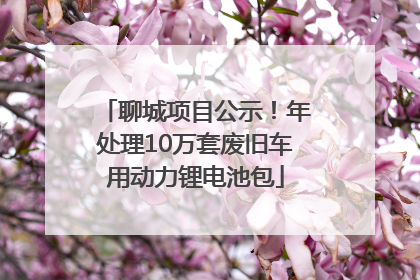 聊城项目公示！年处理10万套废旧车用动力锂电池包