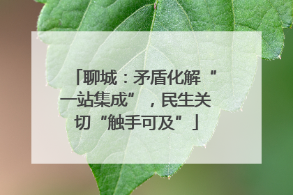 聊城：矛盾化解“一站集成”，民生关切“触手可及”