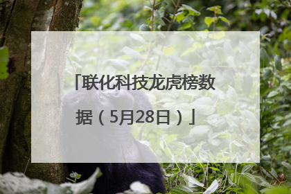 联化科技龙虎榜数据（5月28日）