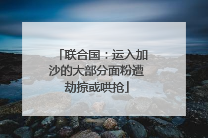 联合国：运入加沙的大部分面粉遭劫掠或哄抢