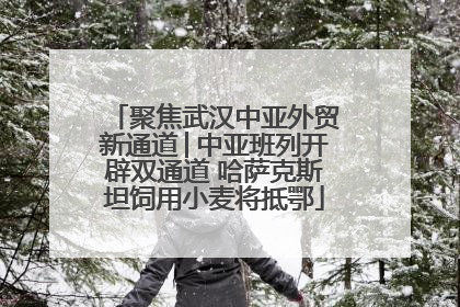 聚焦武汉中亚外贸新通道│中亚班列开辟双通道 哈萨克斯坦饲用小麦将抵鄂