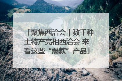 聚焦西洽会｜数千种土特产亮相西洽会 来看这些“爆款”产品