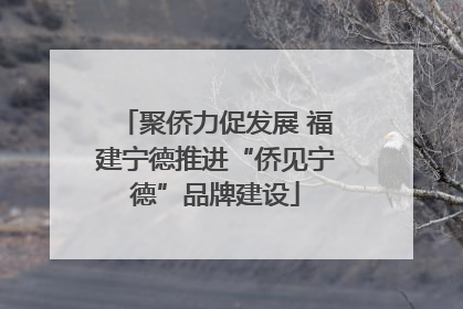 聚侨力促发展 福建宁德推进“侨见宁德”品牌建设