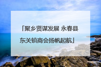 聚乡贤谋发展 永春县东关镇商会扬帆起航