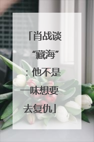 肖战谈“藏海”：他不是一味想要去复仇