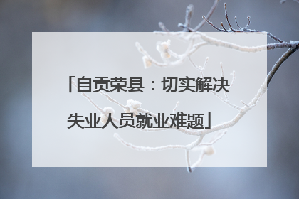 自贡荣县：切实解决失业人员就业难题
