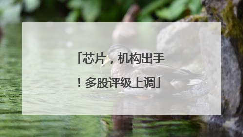 芯片，机构出手！多股评级上调