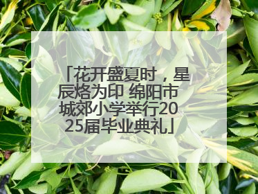 花开盛夏时，星辰烙为印 绵阳市城郊小学举行2025届毕业典礼