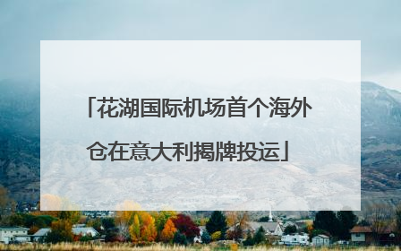 花湖国际机场首个海外仓在意大利揭牌投运