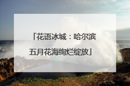 花语冰城：哈尔滨五月花海绚烂绽放