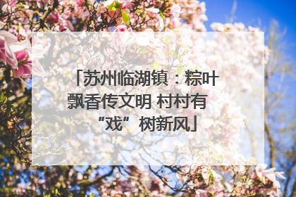 苏州临湖镇：粽叶飘香传文明 村村有“戏”树新风