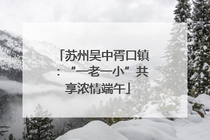 苏州吴中胥口镇：“一老一小”共享浓情端午