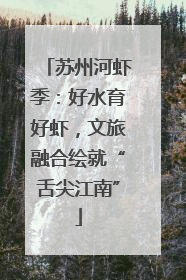 苏州河虾季：好水育好虾，文旅融合绘就“舌尖江南”
