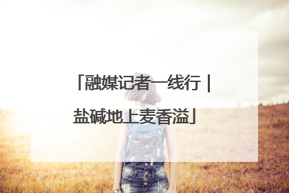 融媒记者一线行｜盐碱地上麦香溢