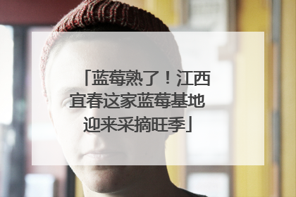 蓝莓熟了！江西宜春这家蓝莓基地迎来采摘旺季