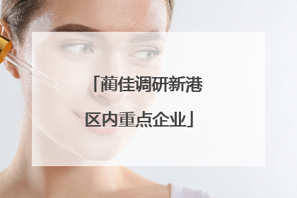 蔺佳调研新港区内重点企业