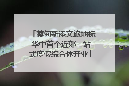 蔡甸新添文旅地标 华中首个近郊一站式度假综合体开业
