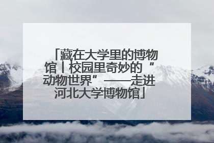 藏在大学里的博物馆丨校园里奇妙的“动物世界”——走进河北大学博物馆
