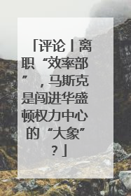 评论丨离职“效率部”，马斯克是闯进华盛顿权力中心的“大象”？