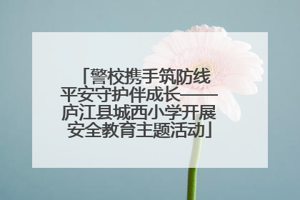 警校携手筑防线 平安守护伴成长——庐江县城西小学开展安全教育主题活动