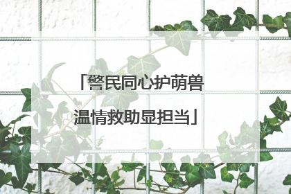 警民同心护萌兽 温情救助显担当