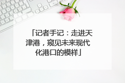 记者手记：走进天津港，窥见未来现代化港口的模样