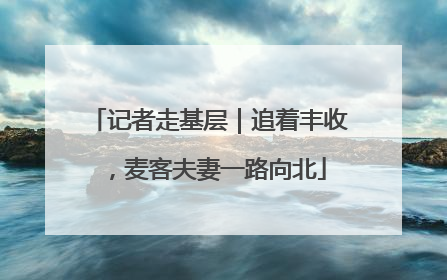 记者走基层｜追着丰收，麦客夫妻一路向北