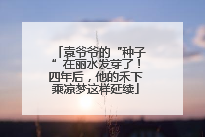 袁爷爷的“种子”在丽水发芽了！四年后，他的禾下乘凉梦这样延续