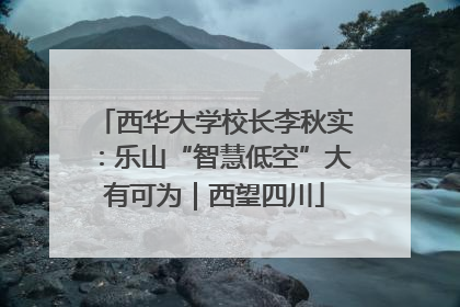 西华大学校长李秋实：乐山“智慧低空”大有可为｜西望四川