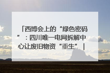 西博会上的“绿色密码”：四川唯一电网拆解中心让废旧物资“重生”｜西博寻“新”记