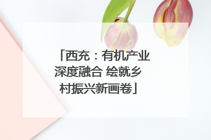 西充：有机产业深度融合 绘就乡村振兴新画卷