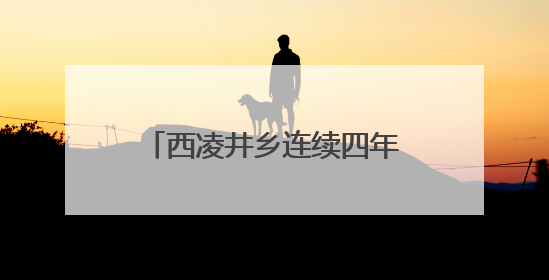 西凌井乡连续四年举办经验交流会