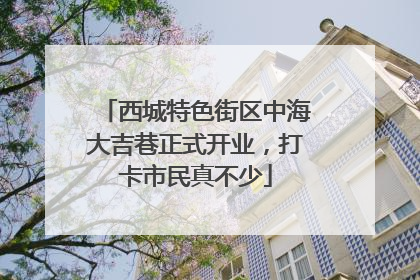 西城特色街区中海大吉巷正式开业，打卡市民真不少