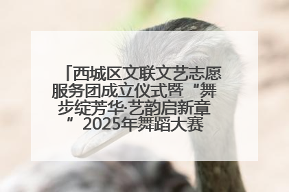 西城区文联文艺志愿服务团成立仪式暨“舞步绽芳华·艺韵启新章”2025年舞蹈大赛展演圆满举办