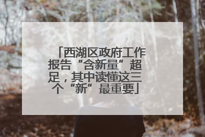 西湖区政府工作报告“含新量”超足，其中读懂这三个“新”最重要