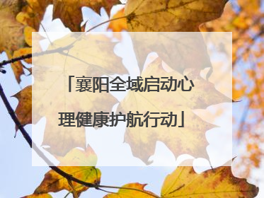襄阳全域启动心理健康护航行动