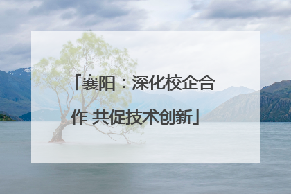 襄阳：深化校企合作 共促技术创新
