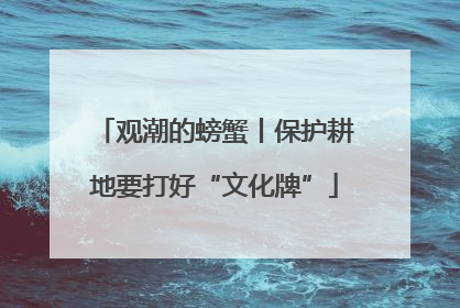 观潮的螃蟹丨保护耕地要打好“文化牌”