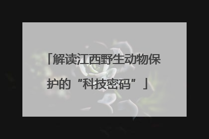 解读江西野生动物保护的“科技密码”