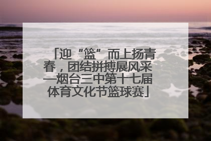 迎“篮”而上扬青春，团结拼搏展风采—烟台三中第十七届体育文化节篮球赛