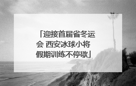 迎接首届省冬运会 西安冰球小将假期训练不停歇