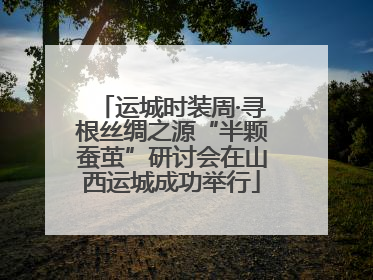 运城时装周·寻根丝绸之源“半颗蚕茧”研讨会在山西运城成功举行