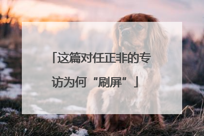 这篇对任正非的专访为何“刷屏”