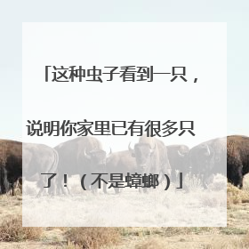 这种虫子看到一只，说明你家里已有很多只了！（不是蟑螂）
