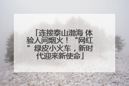 连接泰山渤海 体验人间烟火！“网红”绿皮小火车，新时代迎来新使命